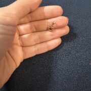 پلاک آویز زنانه سوزیانا مدل تک گل - Image 3